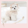 Organic Floral Harness