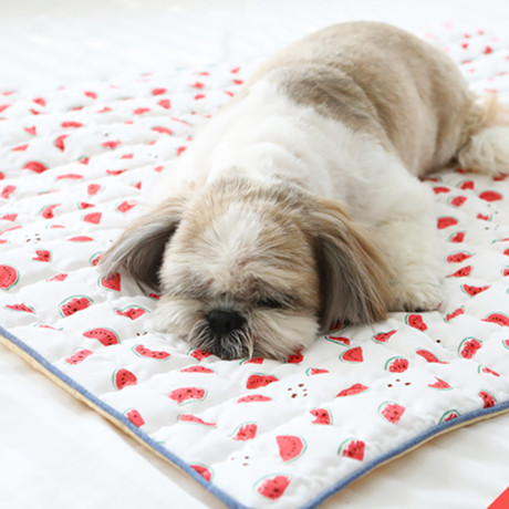 watermelon cooling mat