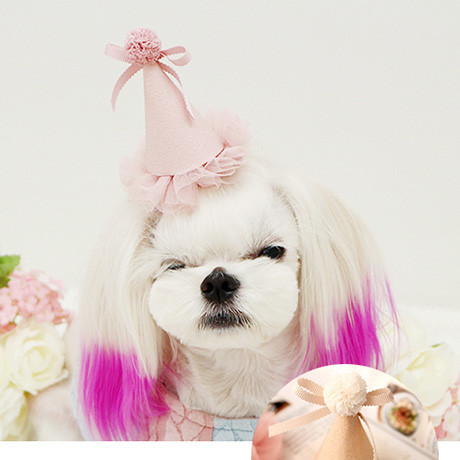 Cone hairclip