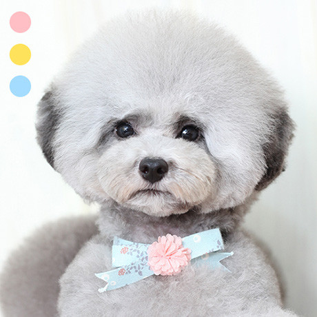 Blooming choker