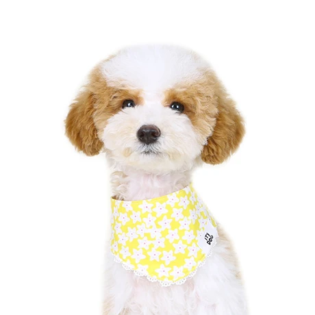 Blooming Scarf (yellow)