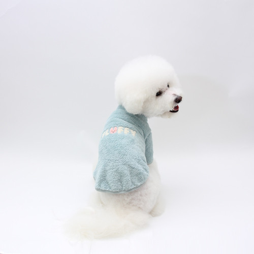 Cotton candy t-shirt (Mint)