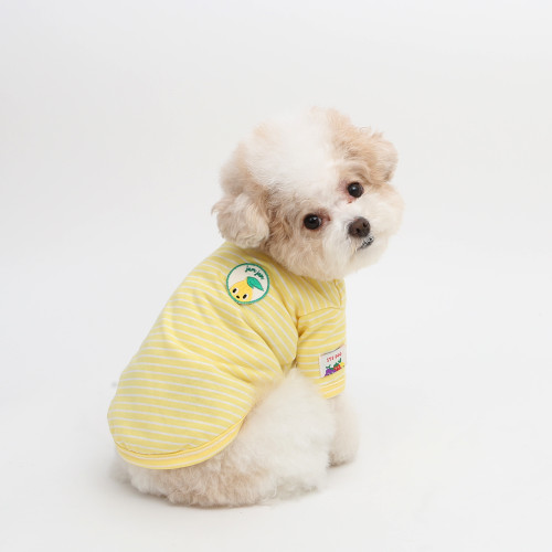 Jam jam stripe t-shirt (Lemon)