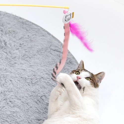 Cat Teaser