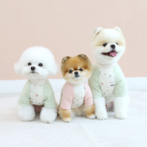 Organic Forest Raglan T-shirt