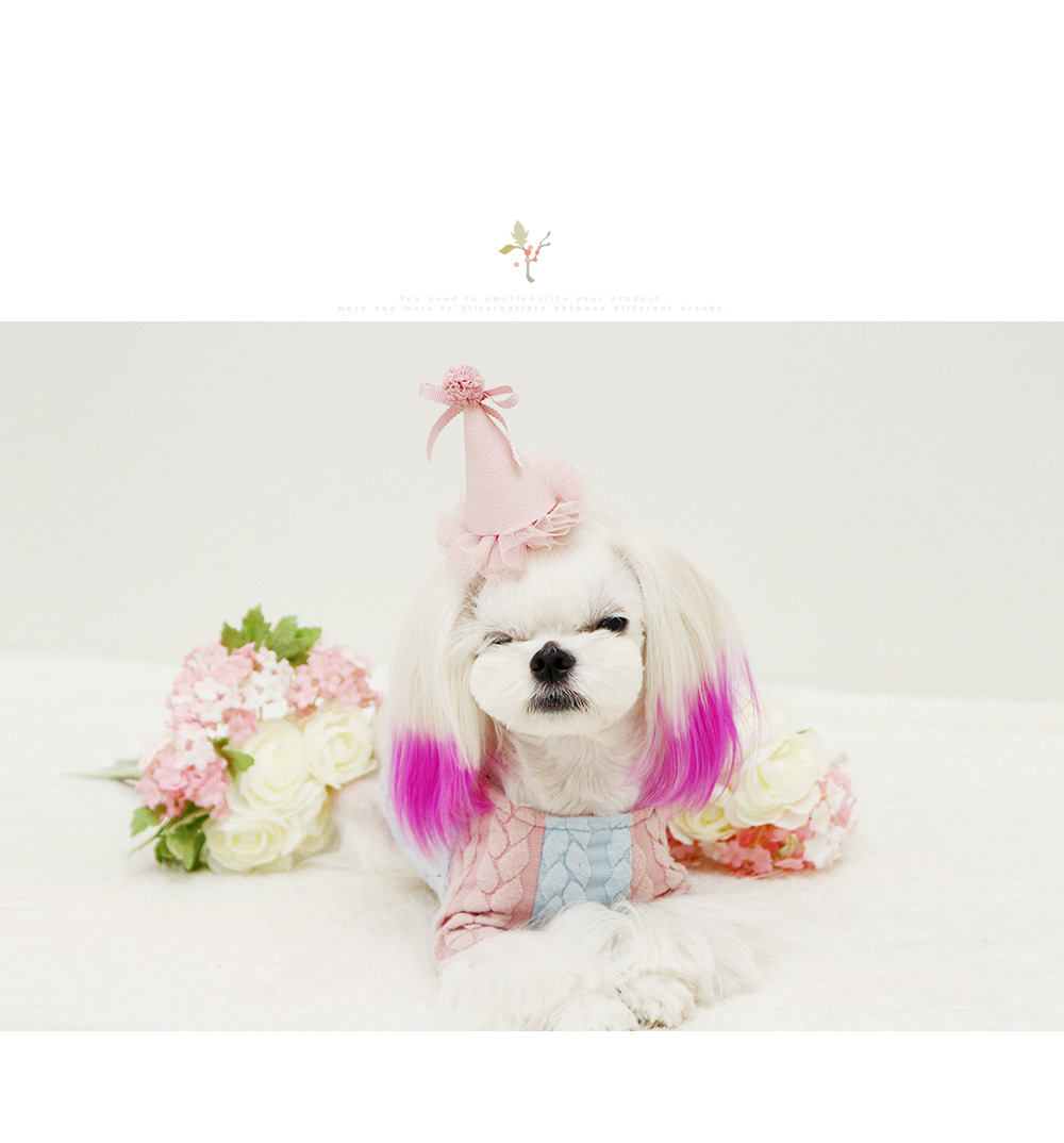 dog hairclip