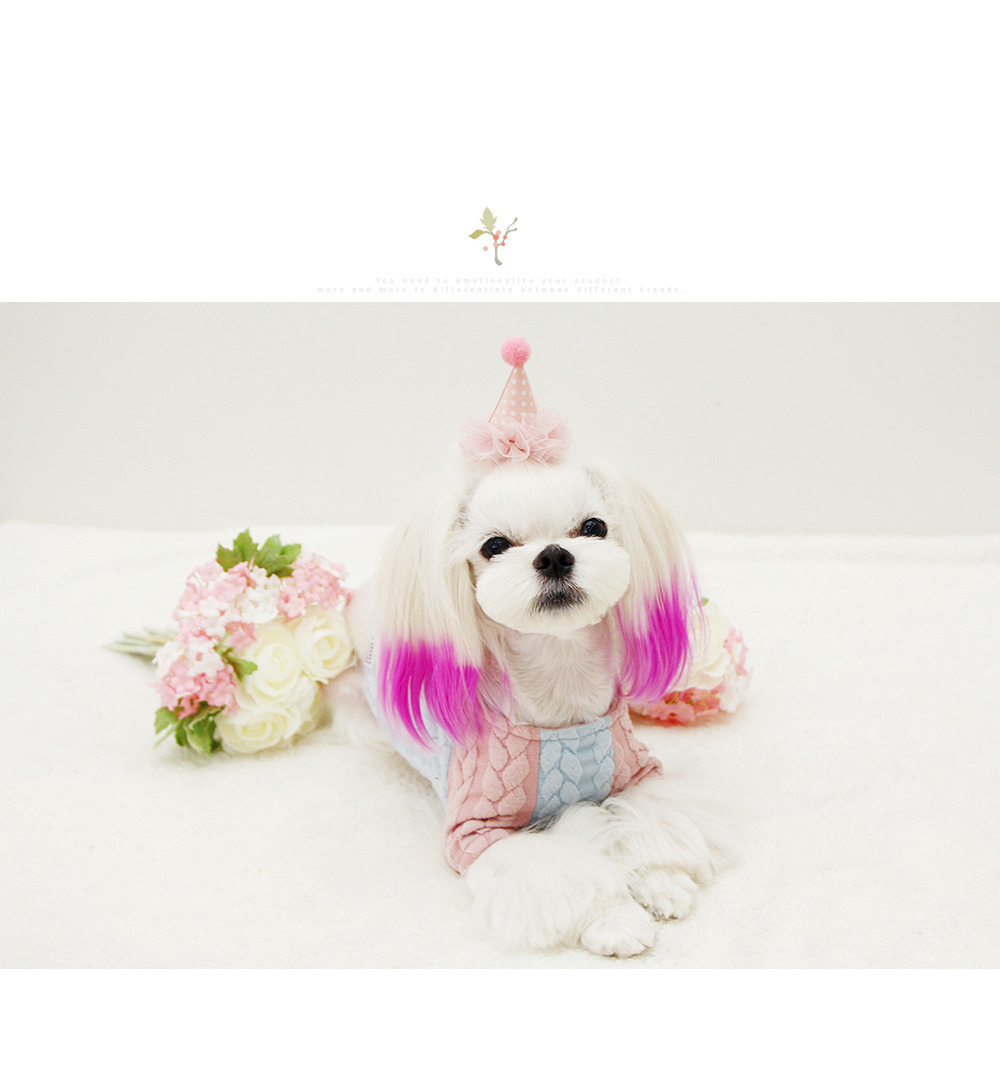 pet accessories