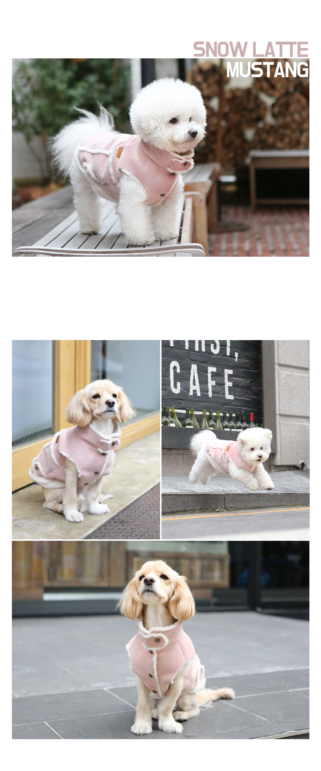160105-snow-latte-mustang-11.jpg