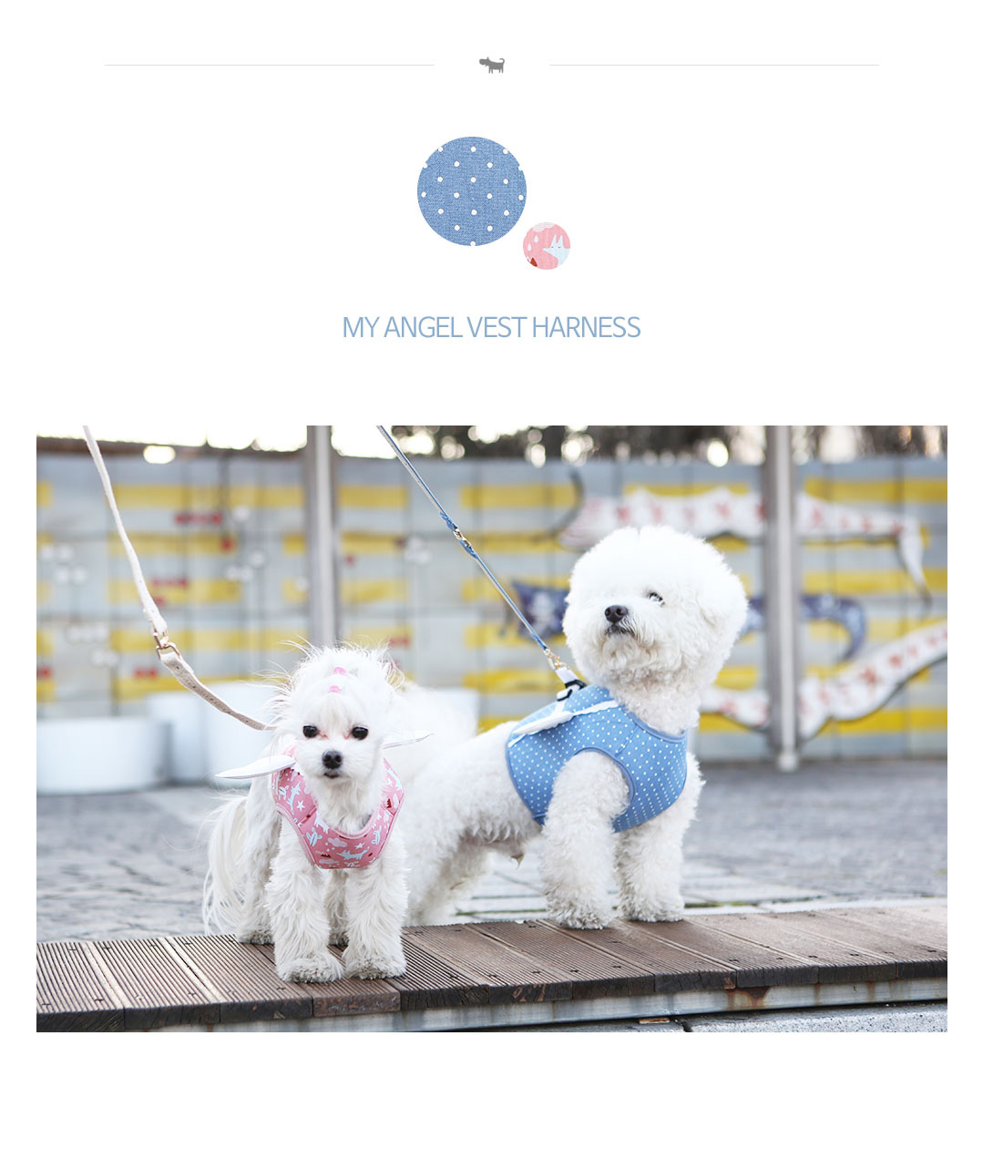 160315-my-angel-vest-harness-blue-fox-01.jpg