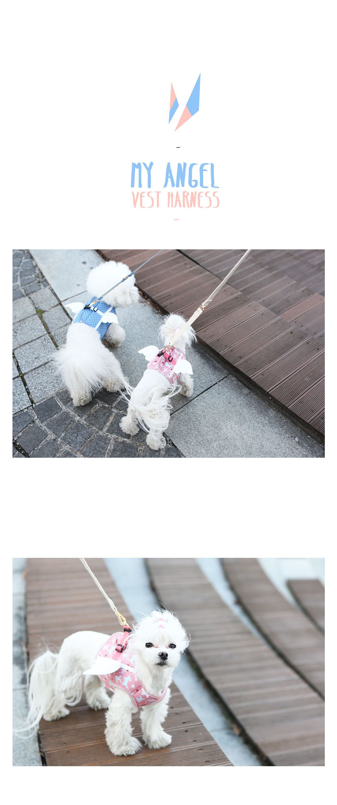160315-my-angel-vest-harness-blue-fox-02.jpg