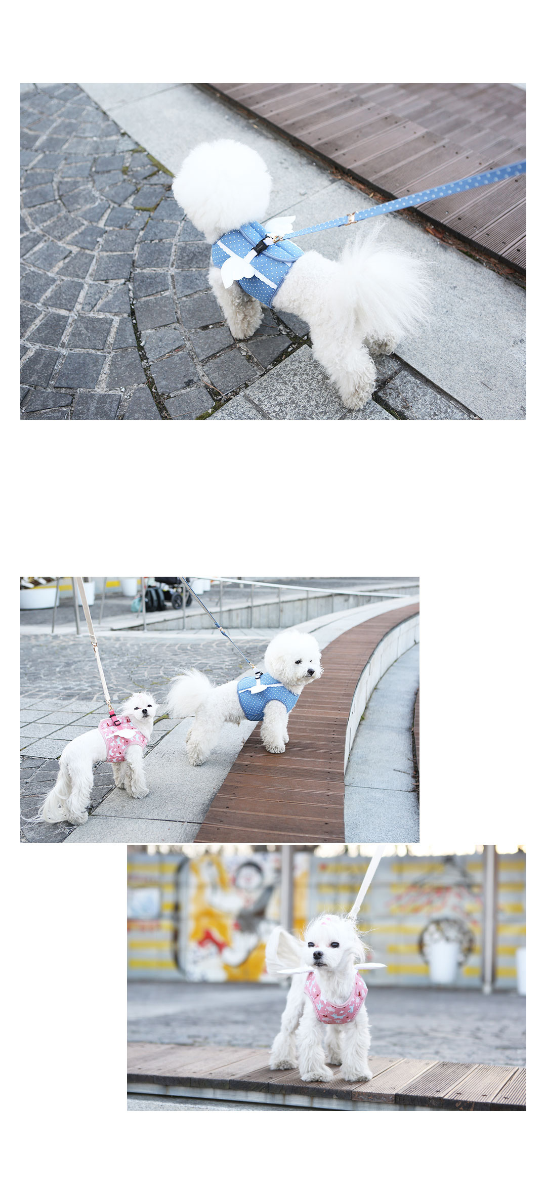 160315-my-angel-vest-harness-blue-fox-03.jpg