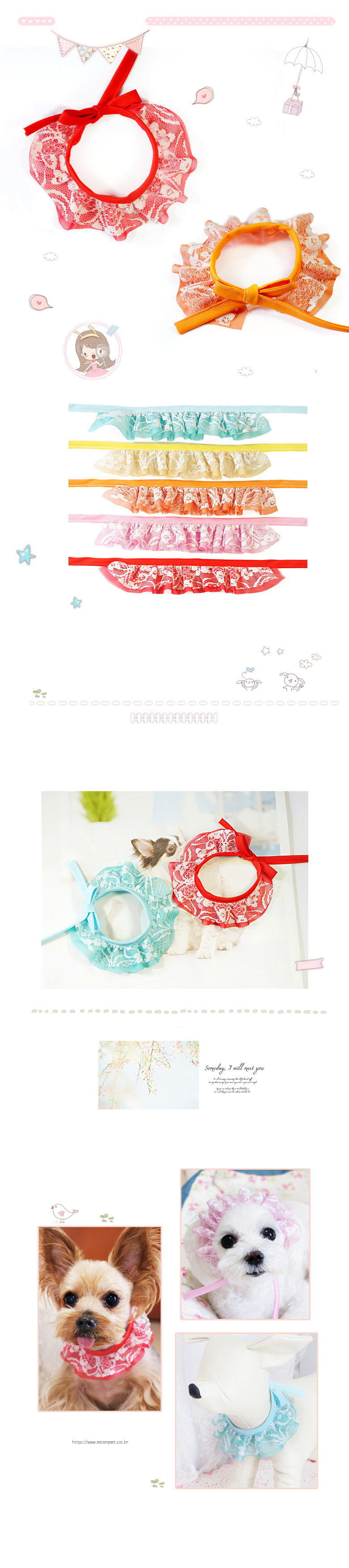 Pet fashion accessories