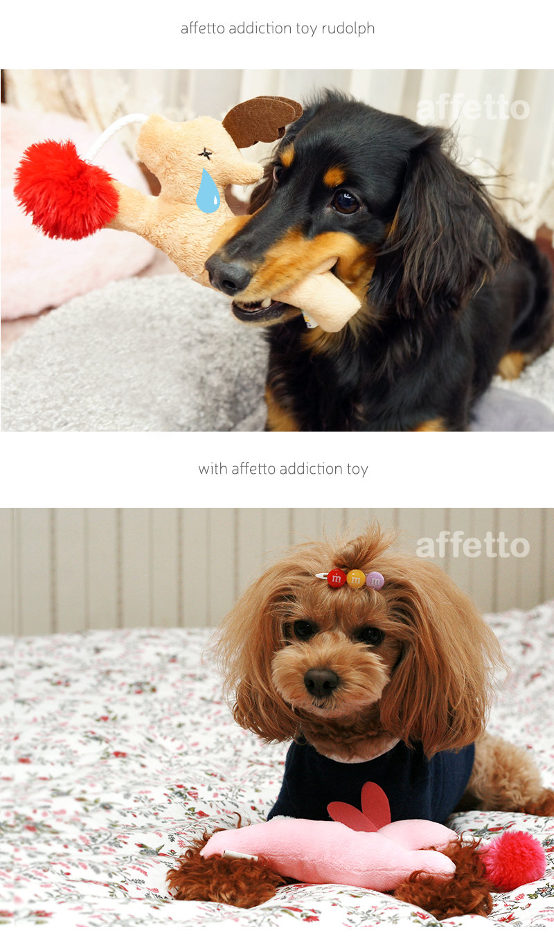 affetto-addictiontoy-05.jpg