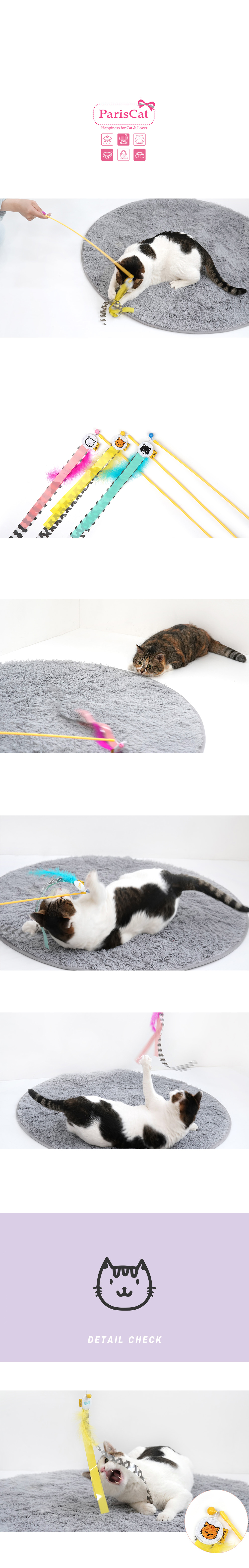 catnip20210422.jpg