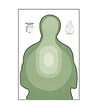 Law Enforcement Targets, Inc US Treasury Transitional Target II - Minimum Quantity of 25 LTR-II Thumbnail Image
