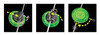Nite Ize See'Em Mini Spoke Lights Instructions Thumbnail Image