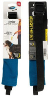 Nite Ize RadDog All-In-One Collar + Leash blue extra large Thumbnail Image