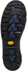 Danner Men's Vicious 4.5" Black/Blue NMT Composite Toe Work Boot 13864  13864  Thumbnail Image