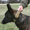 United States Tactical K9 Receiver Collar  UST-K9C0020  Thumbnail Image