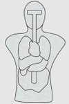 Infinite Defense Anatomical Torso Infinity Target  ID-TORSO-ANATOMIC-1 198168445822 Thumbnail Image