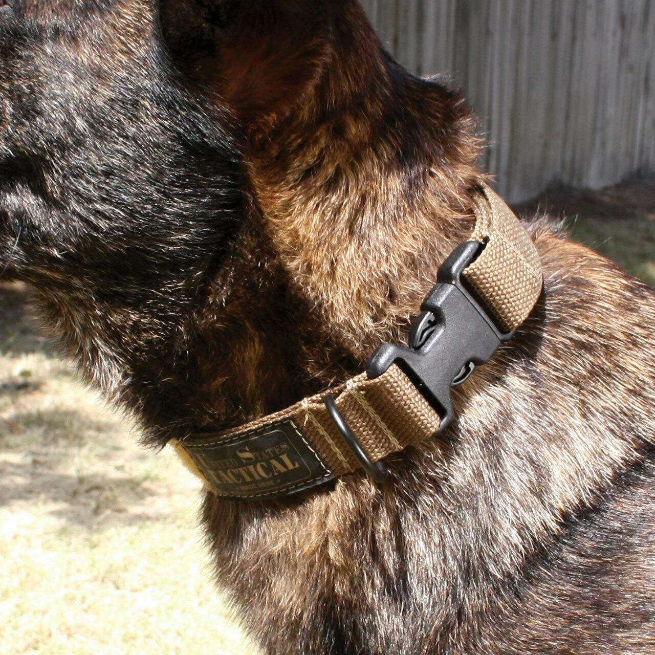United States Tactical Adjustable Velcro Cobra Buckle K9 Collar