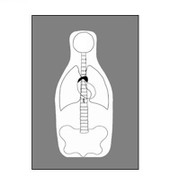 Law Enforcement Targets, Inc FBI-Q Anatomy Target - Minimum Quantity of 25 F-QANT-A Thumbnail Image