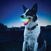 Nite Ize GlowStreak Disc-O LED Ball  Lifestyle - LA Police Gear Thumbnail Image