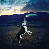 Nite Ize GlowStreak Disc-O LED Ball  Lifestyle - LA Police Gear Thumbnail Image