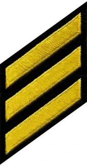 Heros Pride Hashmarks-Med Gold on Black 5371 849204005455 - LA Police Gear Thumbnail Image