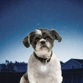 Nite Ize PetLit Collar Light crystal jewel Thumbnail Image