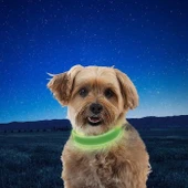 Nite Ize NiteDog Rechargeable LED Collar  NDCR  Thumbnail Image