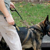 United States Tactical Quick Release and HK Hook K9 Leash  UST-K9L0010  Thumbnail Image