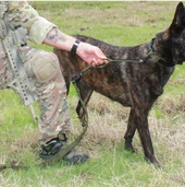 United States Tactical Quick Release and HK Hook K9 Leash  UST-K9L0010  Thumbnail Image