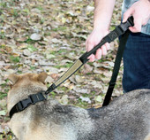 United States Tactical Quick Release and HK Hook K9 Leash  UST-K9L0010  Thumbnail Image