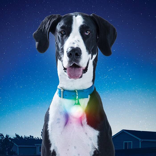 Nite Ize SpotLit XL Rechargeable Collar Light - Disc-O Select PSLGR-07S-R6 094664045491