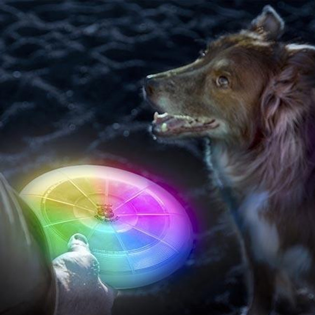 Nite Ize Flashflight Dog Discuit Disc-O LED Flying Disc with dog