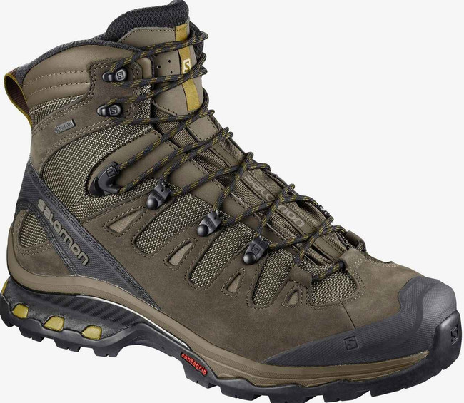 salomon hiking boots waterproof