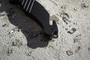 LAPG Rescue EDC Folding Knife Glass Breaker
