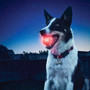 Nite Ize GlowStreak Red LED Ball