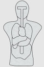 Infinite Defense Anatomical Torso Infinity Target  ID-TORSO-ANATOMIC-1 198168445822