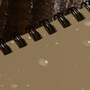 Rite in the Rain 3x5 Notebook 935T - Tan close up 