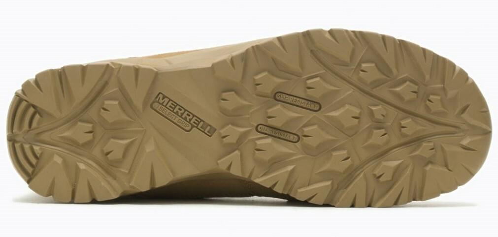 2アロカシア　マハラニ　ゴールド Nike Zoom Lebron 2 'Maccabi' Shoes Metallic Gold (DJ4892-100