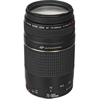 Canon EF 75-300mm f/4-5.6 III USM Lens | But At Best Price