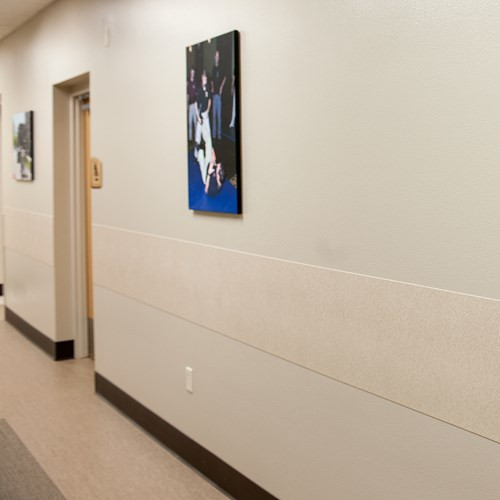 InPro | .040 4in x 96in - Palladium Rub Rails...