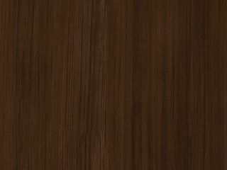 1349 Indian Elm