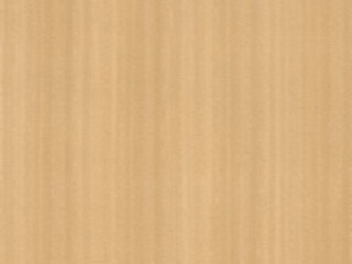 1600 Pearl Ribbonwood
