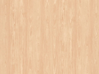 1716 White Sugar Maple