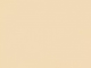 102 Desert Sand