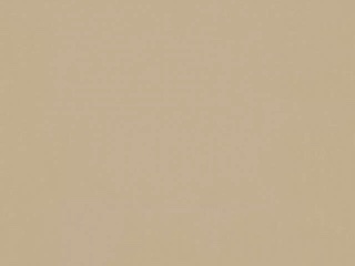 103 Beige