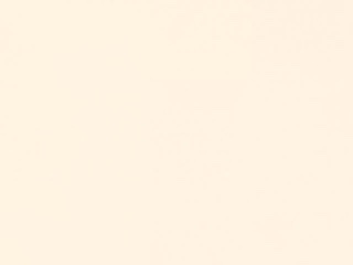253 Parchment